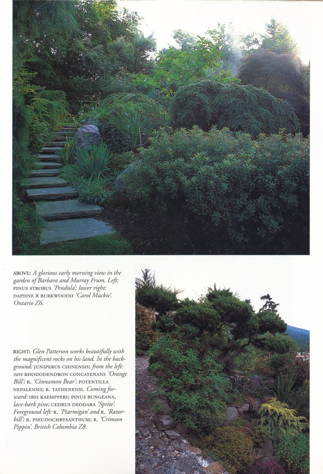 Foliage-and-Garden-Design-page-3