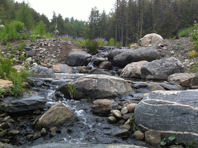 natural-swimming-pools-1