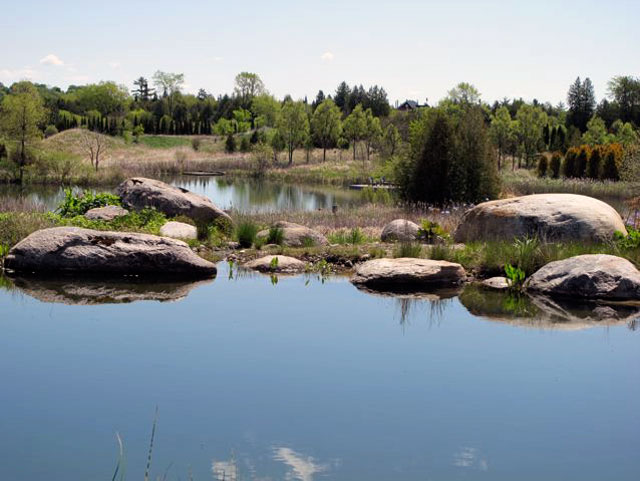 natural-swimming-pools-3