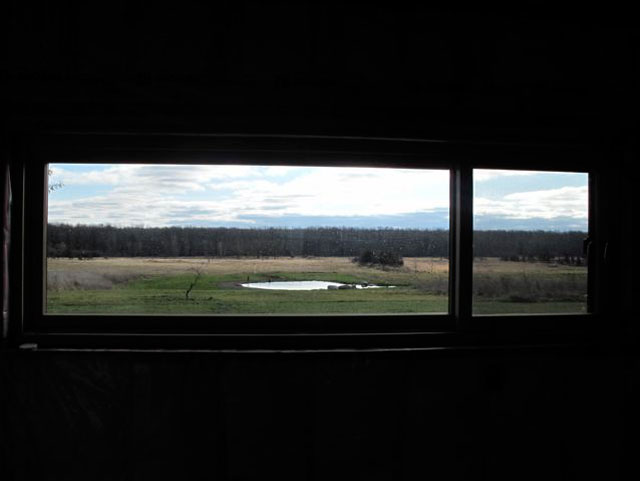 natural-swimming-pools-6