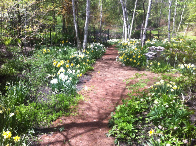 Neil-Turnbull-Ltd.-Gardens-Toronto-31