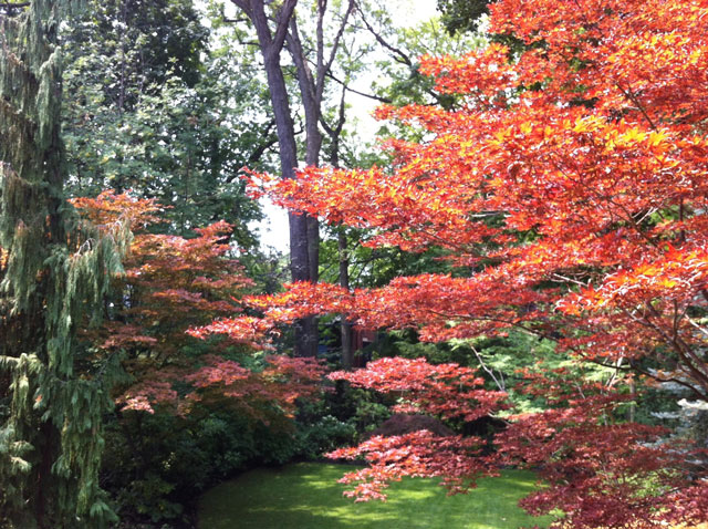 Neil-Turnbull-Ltd.-Gardens-Toronto-36