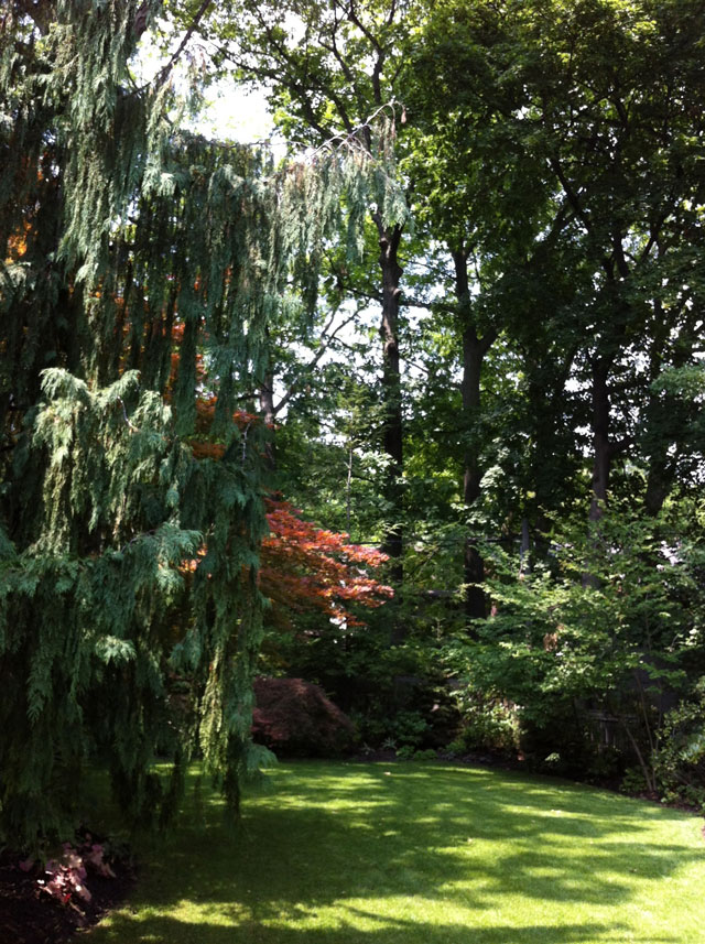 Neil-Turnbull-Ltd.-Gardens-Toronto-37