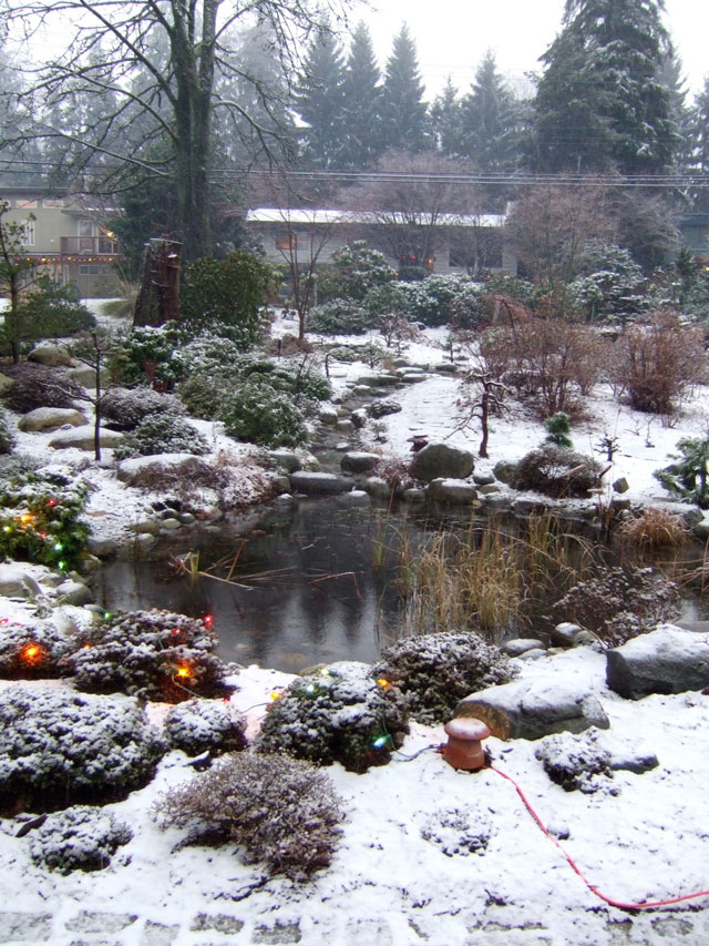 Neil-Turnbull-Ltd.-Gardens-Toronto-6