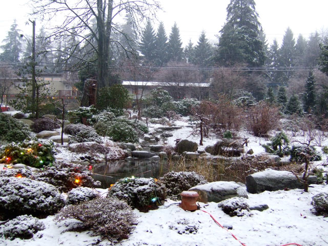 Neil-Turnbull-Ltd.-Gardens-Toronto-7