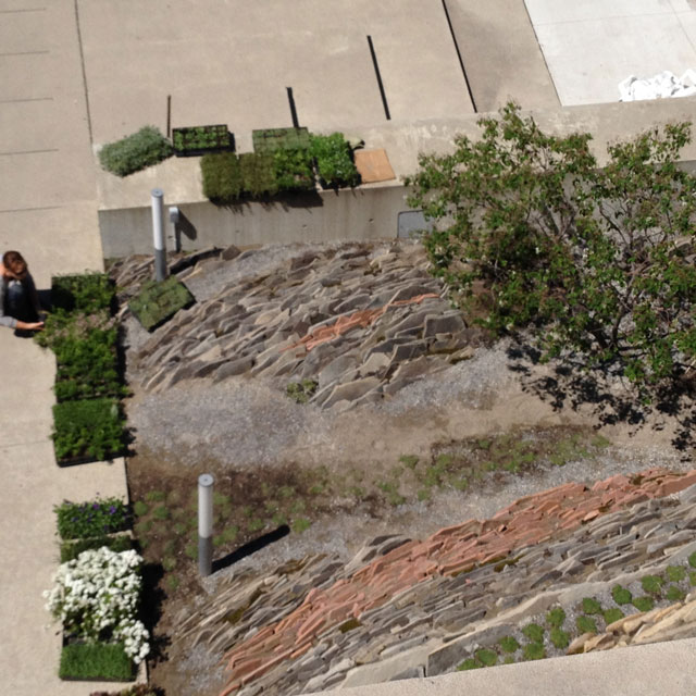 neil-turnbull-ltd-vertical-crevice-garden-01