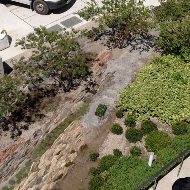 neil-turnbull-ltd-vertical-crevice-garden-02