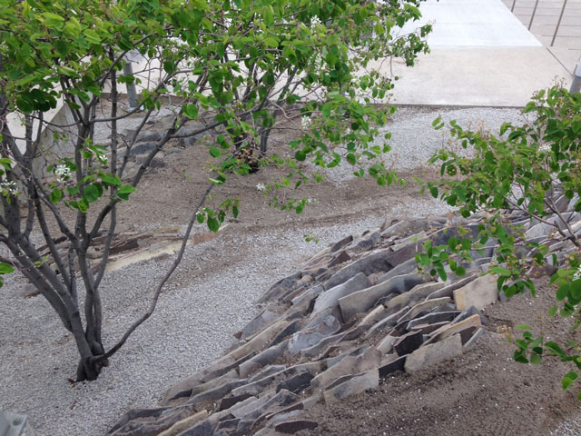 neil-turnbull-ltd-vertical-crevice-garden-03