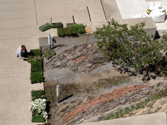 Neil Turnbull Ltd vertical crevice garden — full installation view